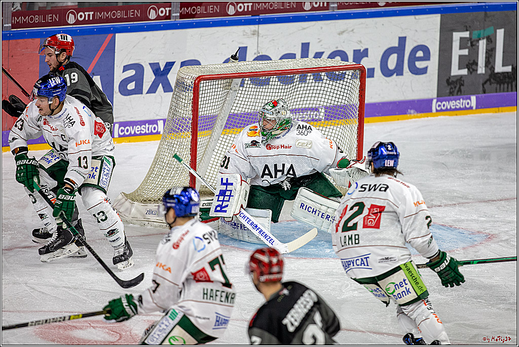 DEL; Koelner Haie - Augsburger Panther, 14.11.2018